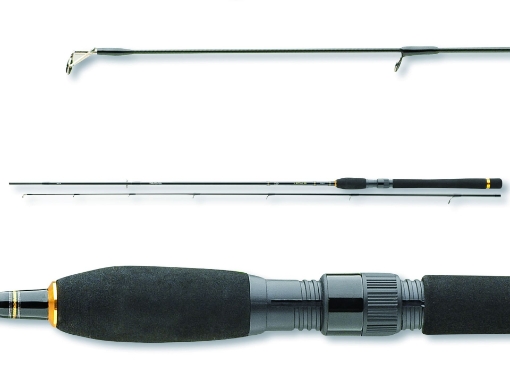 Bild von Daiwa Legalis Spin 2.40m 5-20g