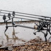 Avid Carp Lok Down Low Pod 6