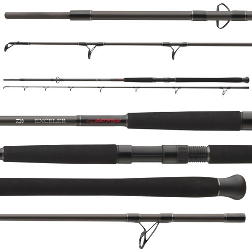 Daiwa Exceler Catfish Boje 2.70m 200-600g