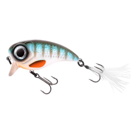 Bild von SPRO Fat Iris 80 Herring  