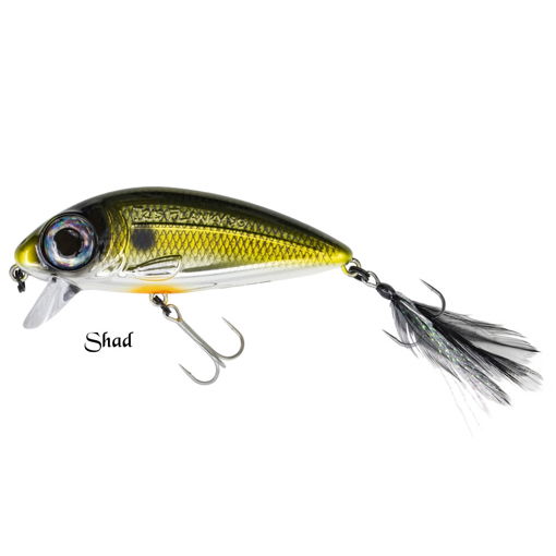 Image sur SPRO Iris Flanky 7.5cm Shad